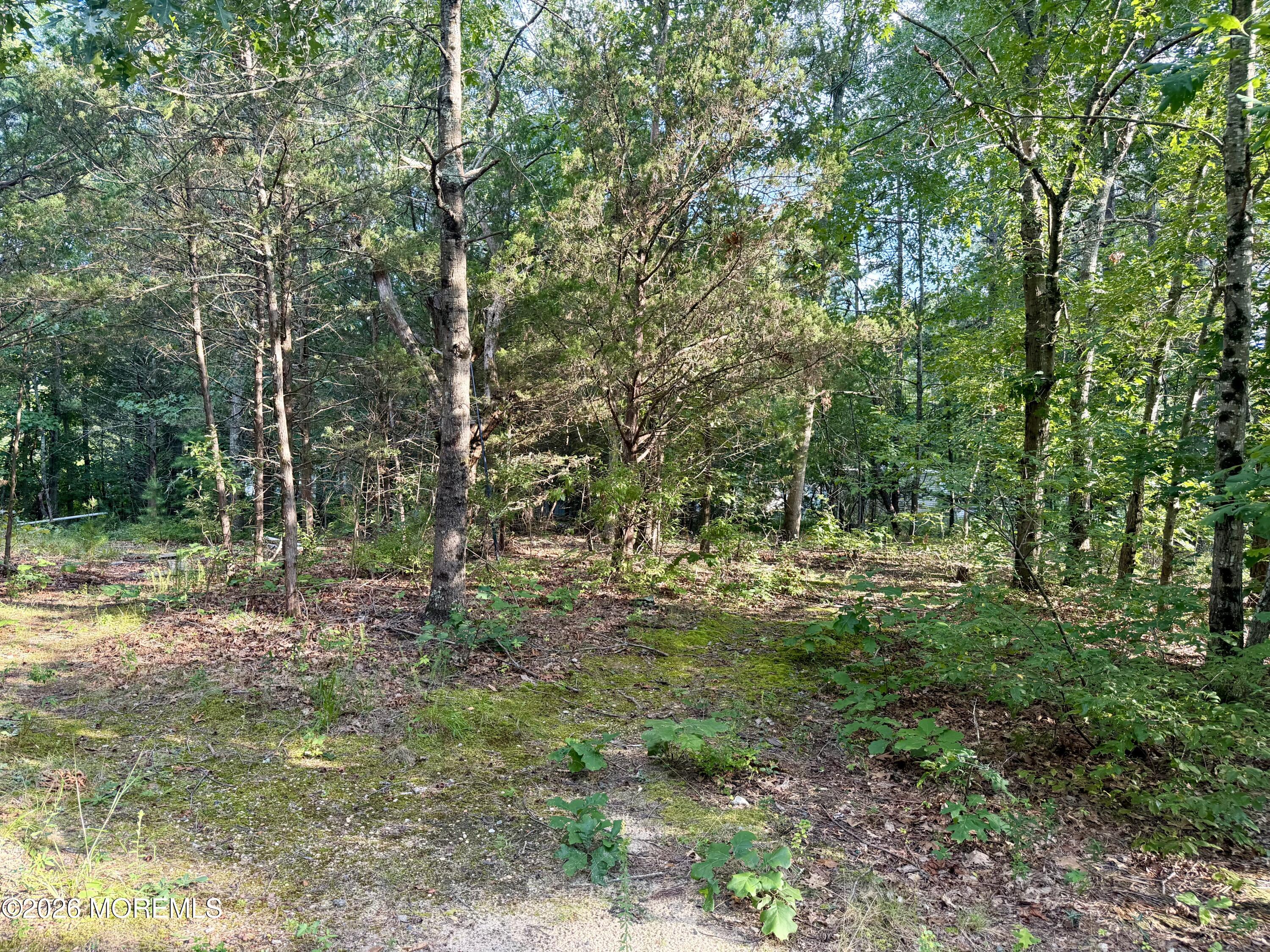 0 Lakehurst Avenue Jackson NJ 08527