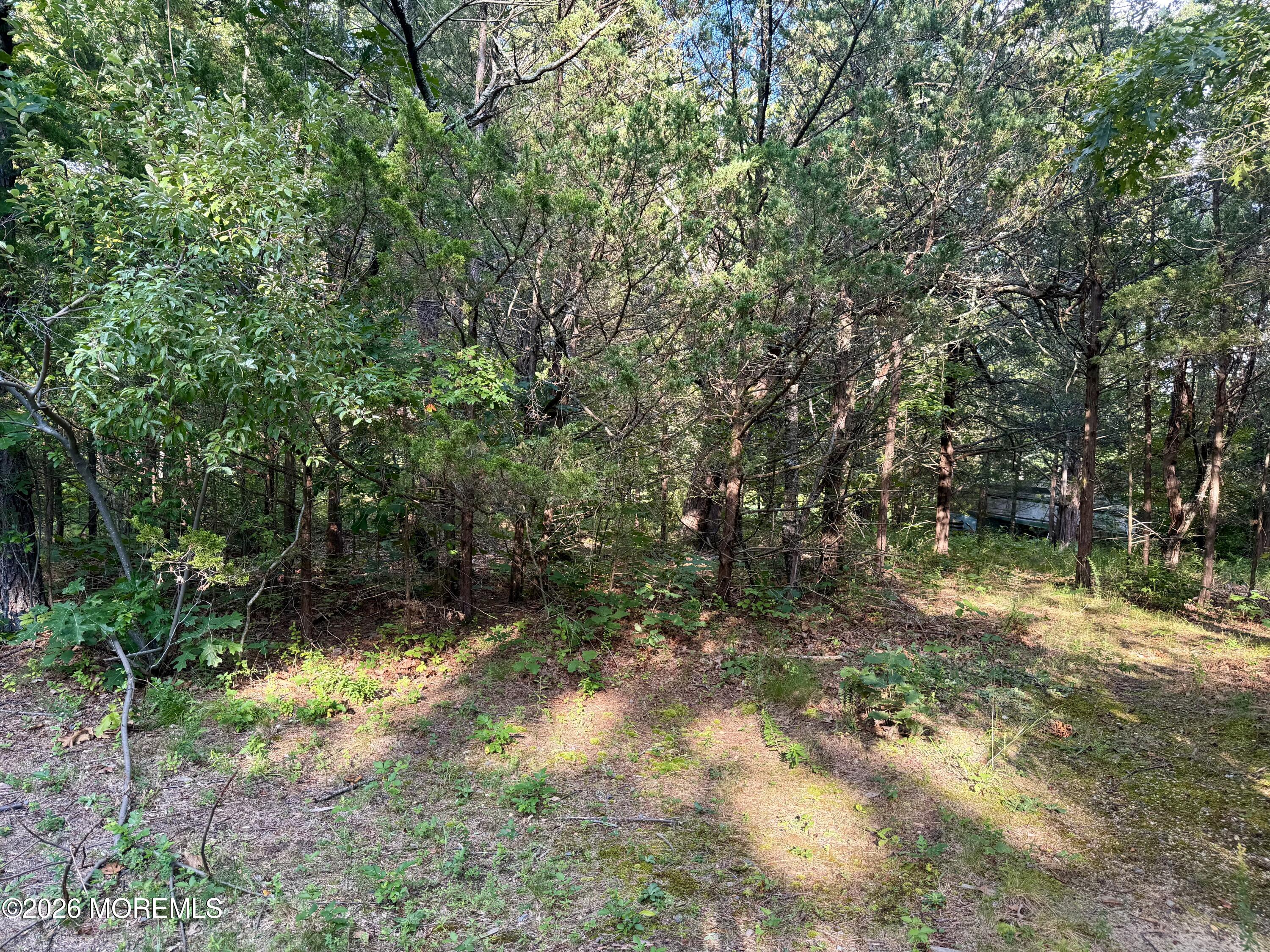 0 Lakehurst Avenue Jackson NJ 08527