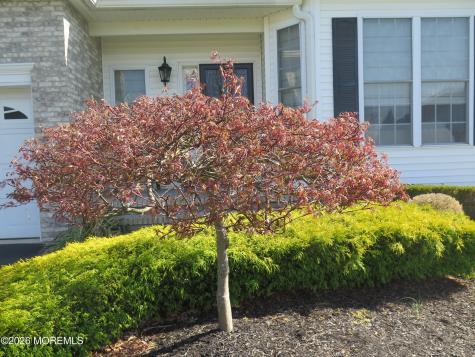 407 Edinburgh Place Marlboro NJ 07746
