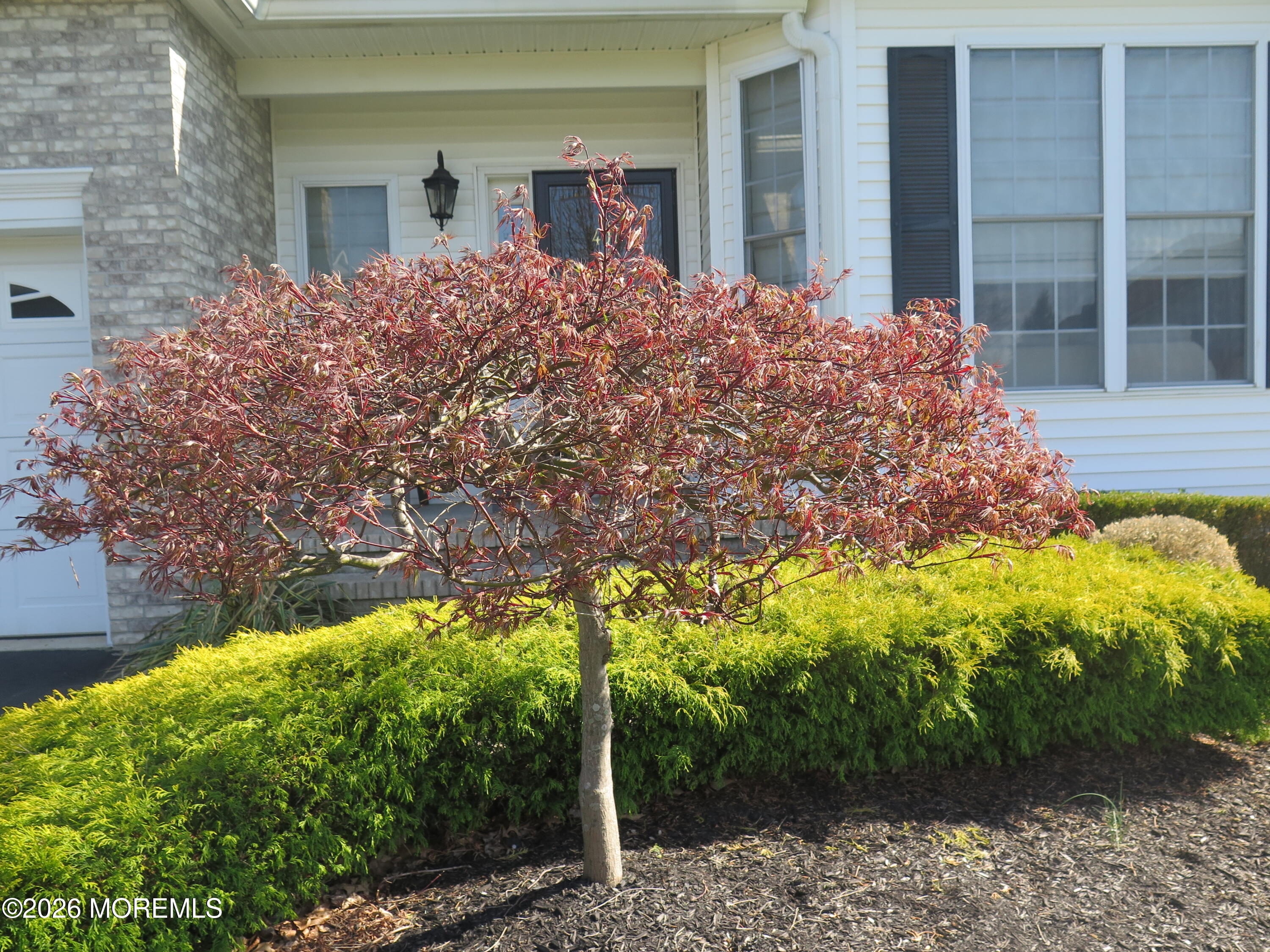 407 Edinburgh Place Marlboro NJ 07746