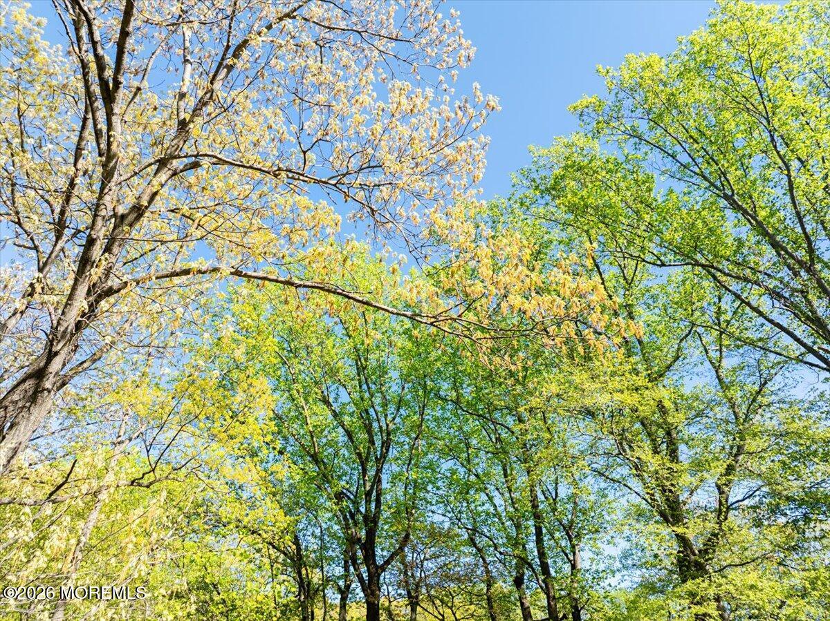 6 Twin Brooks Court Holmdel NJ 07733