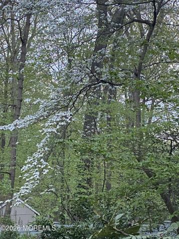 25 Dellwood Court Middletown NJ 07748
