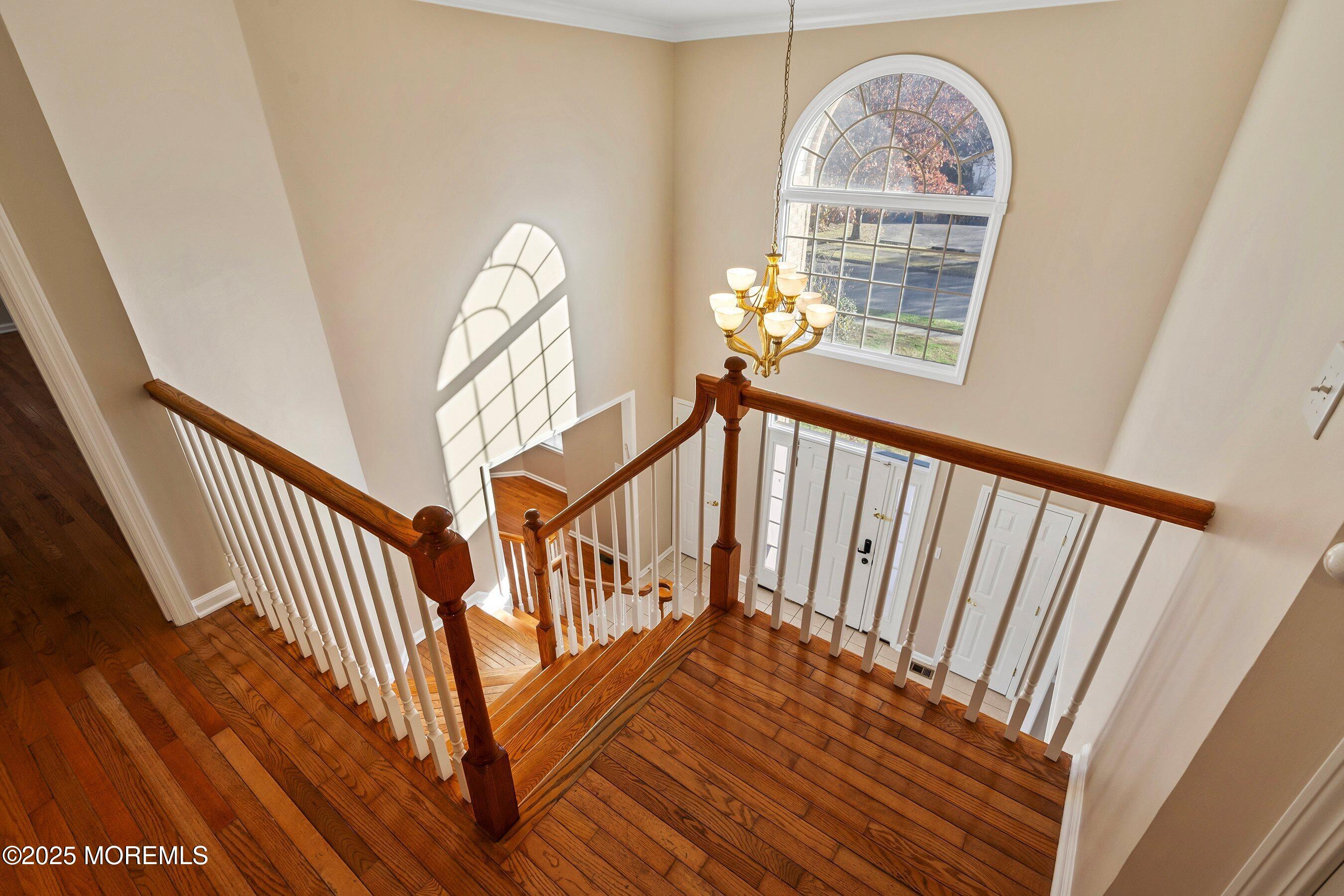 1196 Arcadia Drive Toms River NJ 08755