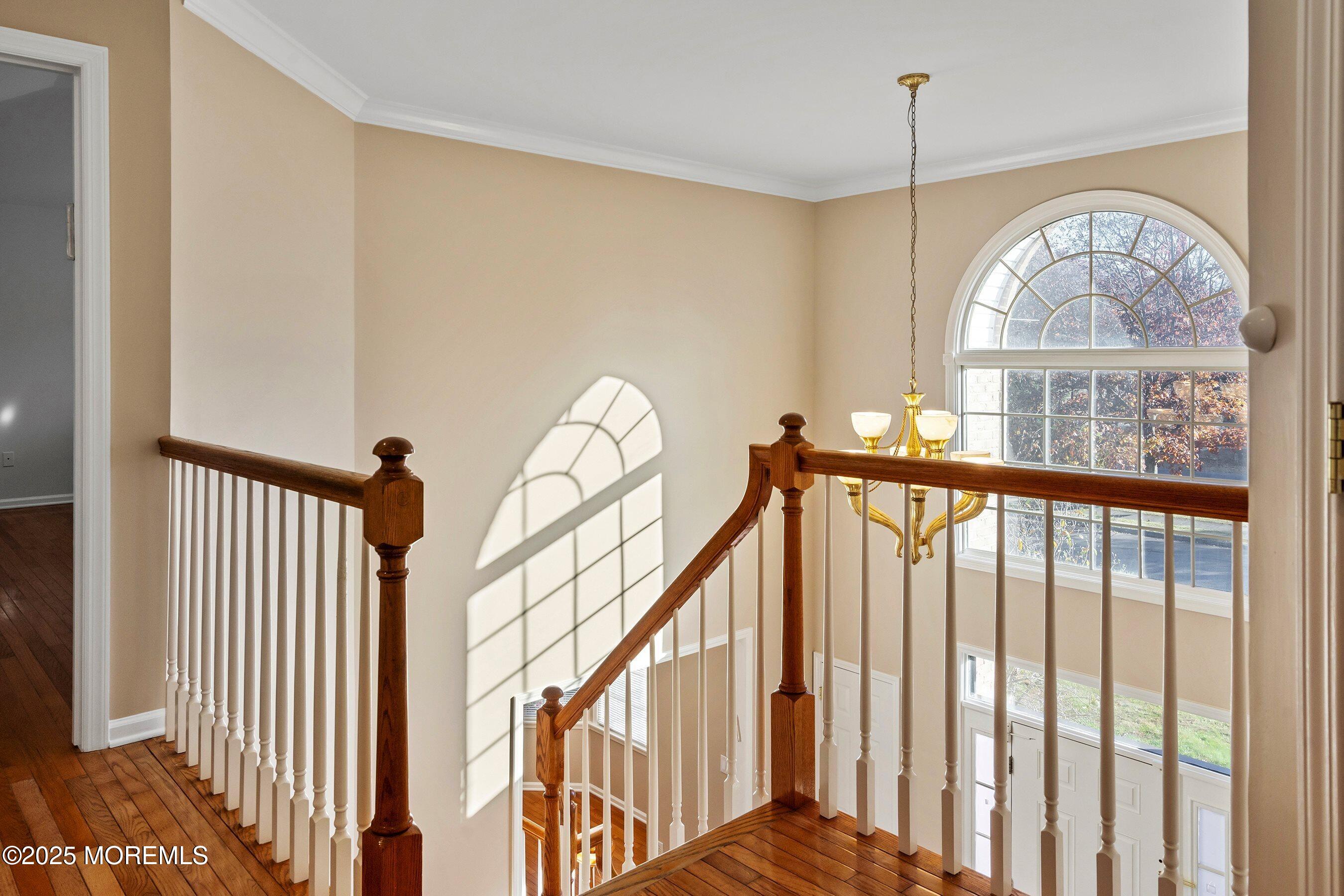 1196 Arcadia Drive Toms River NJ 08755