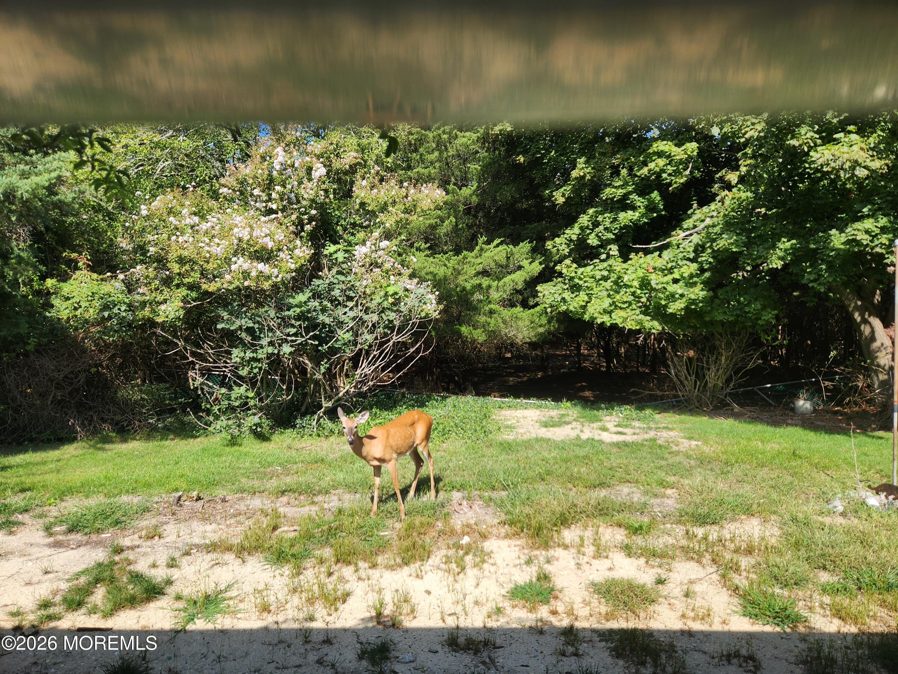 29 Beach Drive Little Egg Harbor NJ 08087