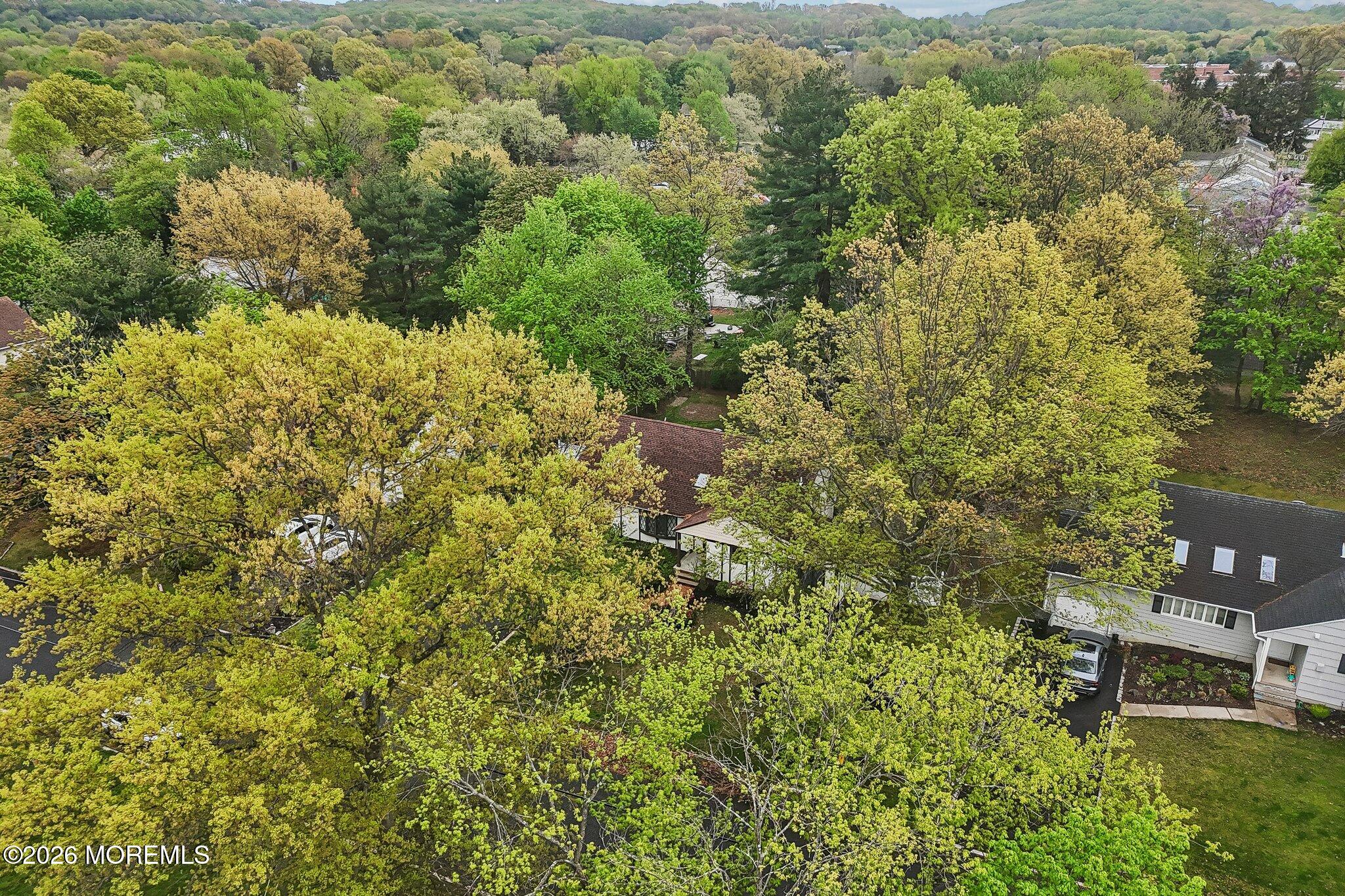 4 Woodland Road Holmdel NJ 07733