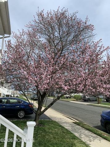911 Harris Avenue Union Beach NJ 07735