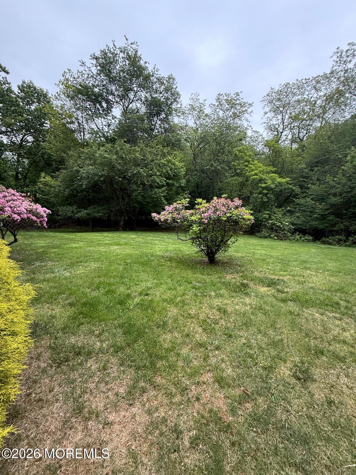8 Delwood Drive Holmdel NJ 07733