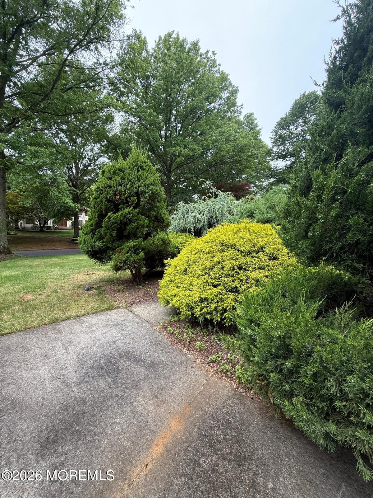 8 Delwood Drive Holmdel NJ 07733