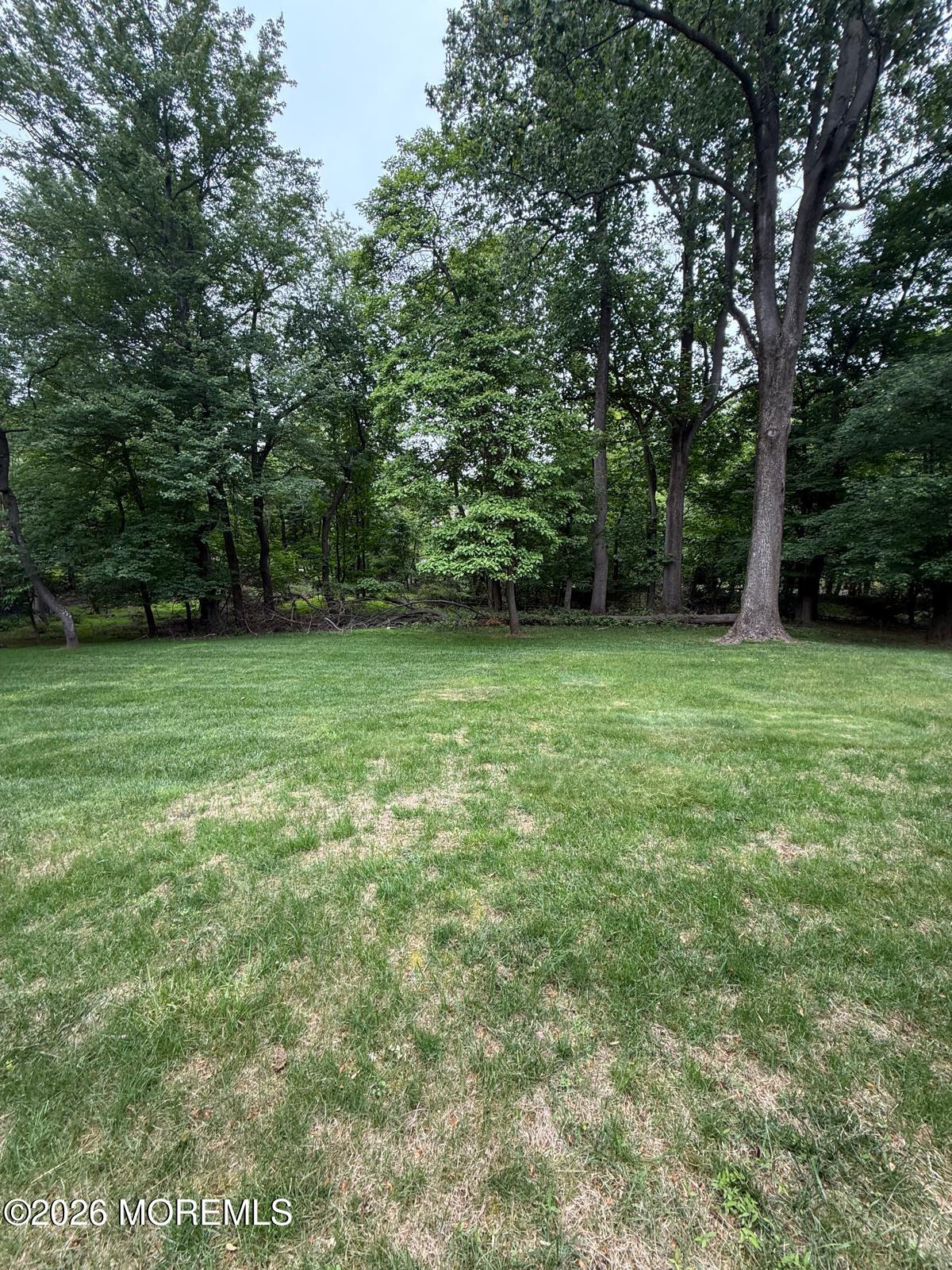8 Delwood Drive Holmdel NJ 07733