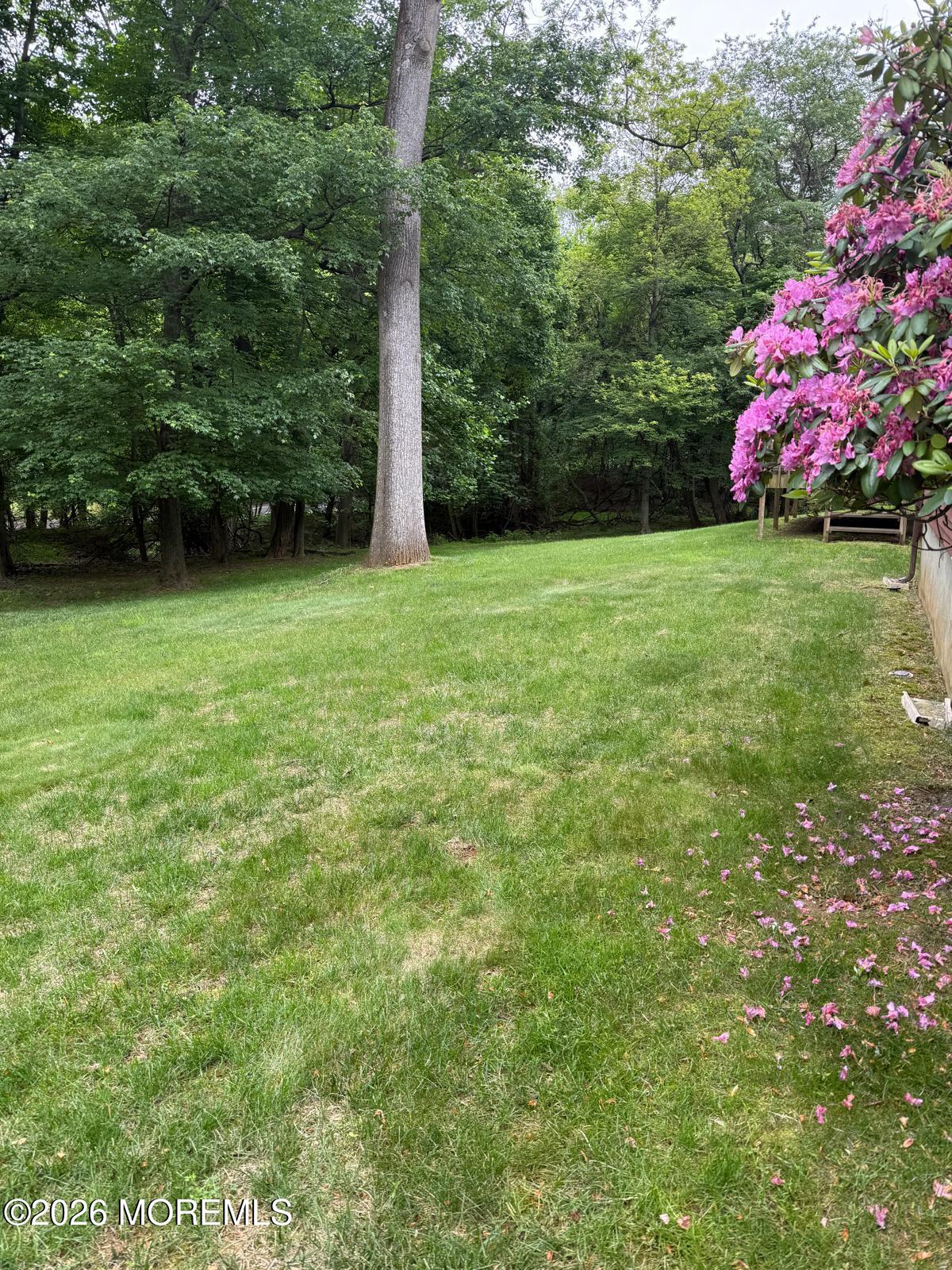 8 Delwood Drive Holmdel NJ 07733