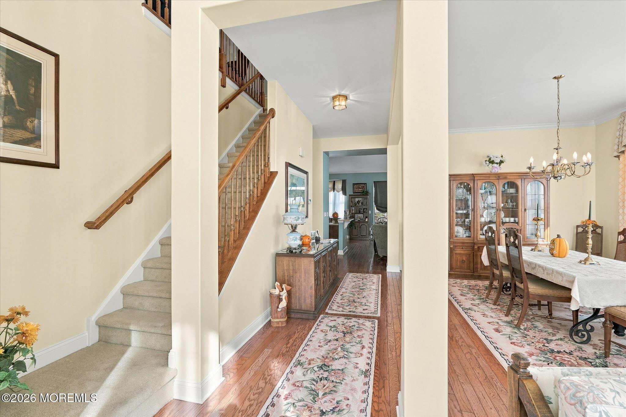 8 Blue Branch Court Barnegat NJ 08005