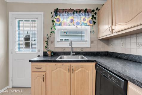 9 Calalou Court Toms River NJ 08757