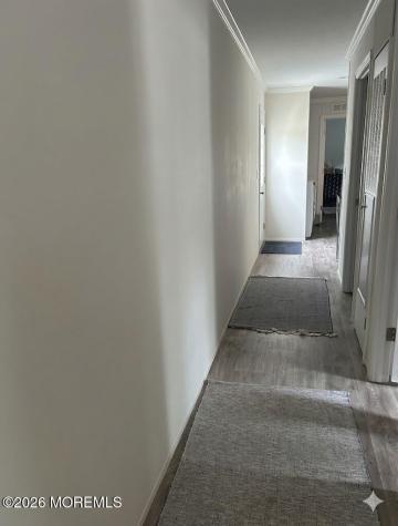 10 Muskrat Place Whiting NJ 08759