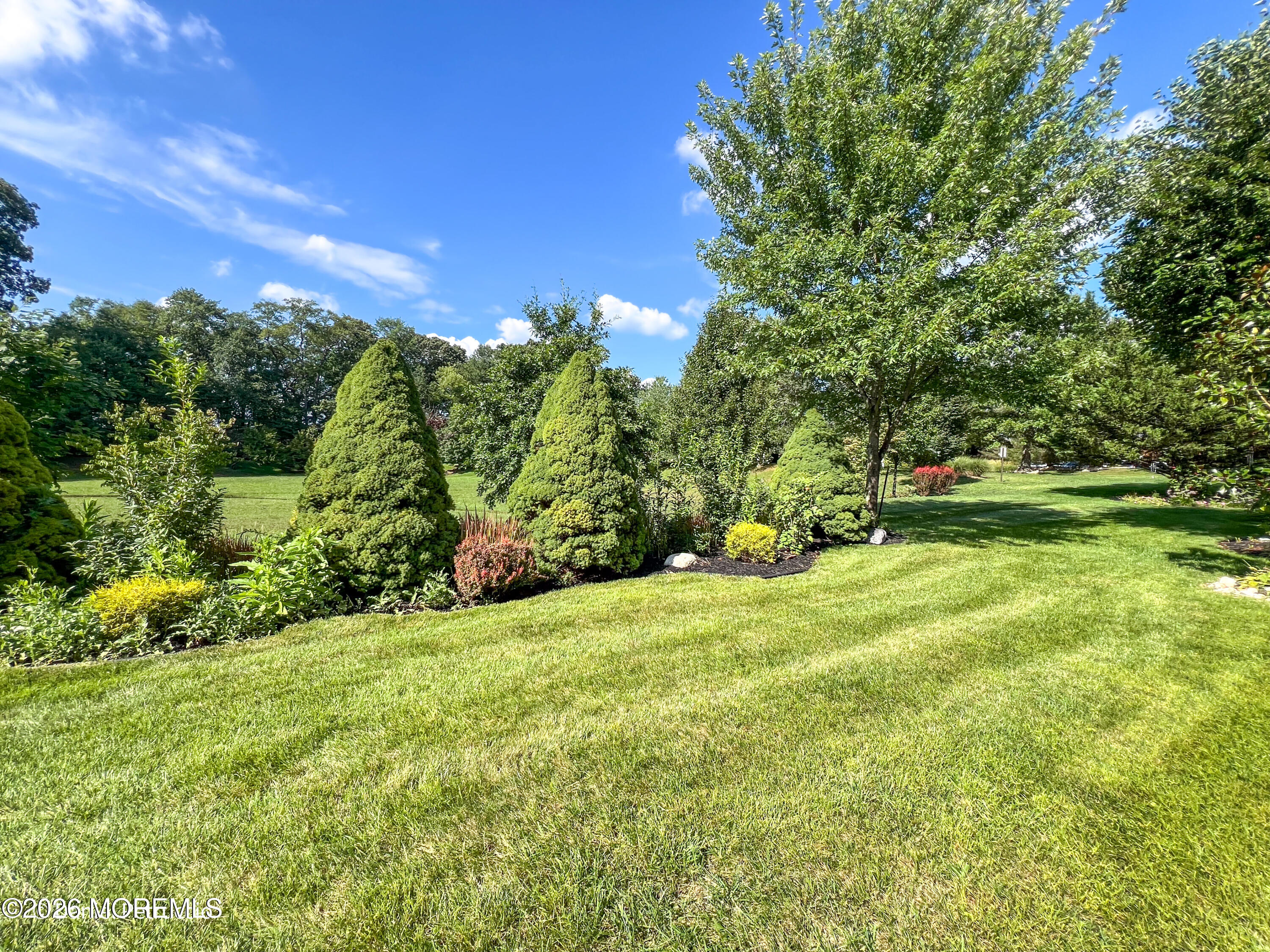 4 Salter Court Manalapan NJ 07726