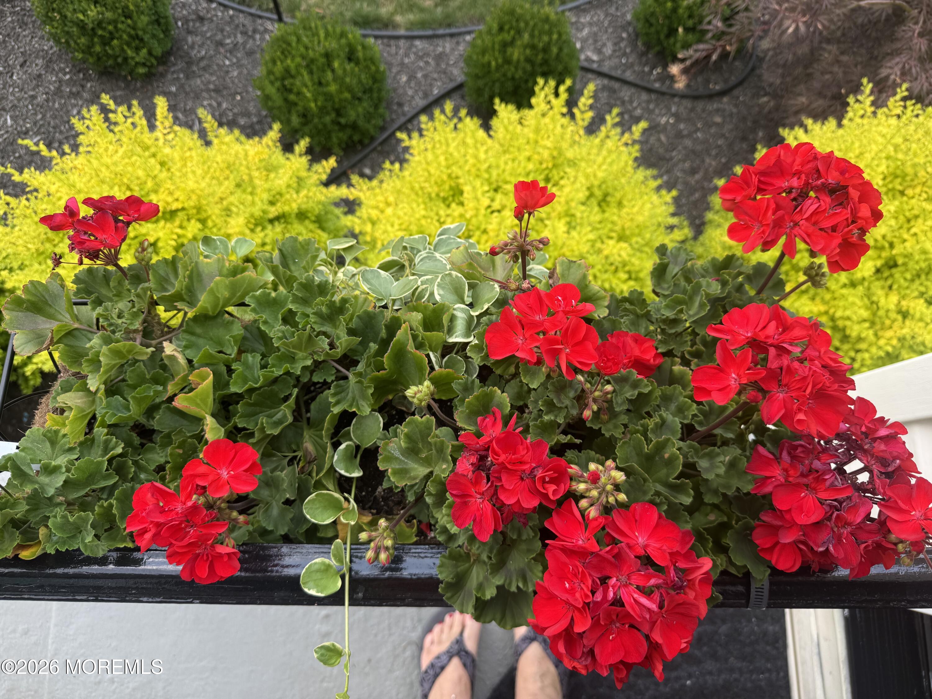 174 Statesir Place Red Bank NJ 07701