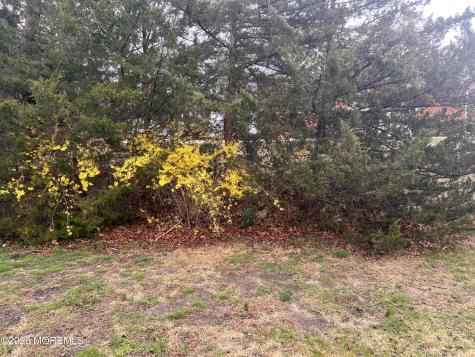 253 C Columbine Avenue Whiting NJ 08759