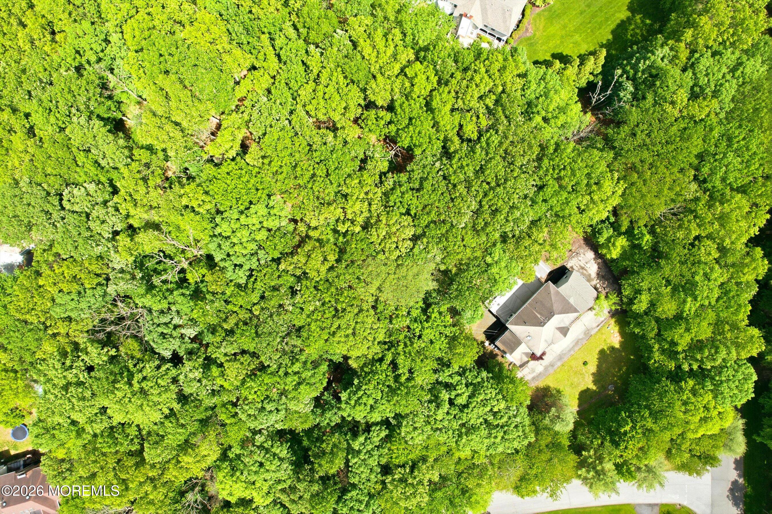 5 Ivy Court Millstone NJ 08535