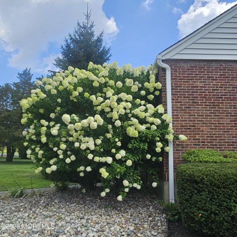 443 Newman Springs Road Lincroft NJ 07738