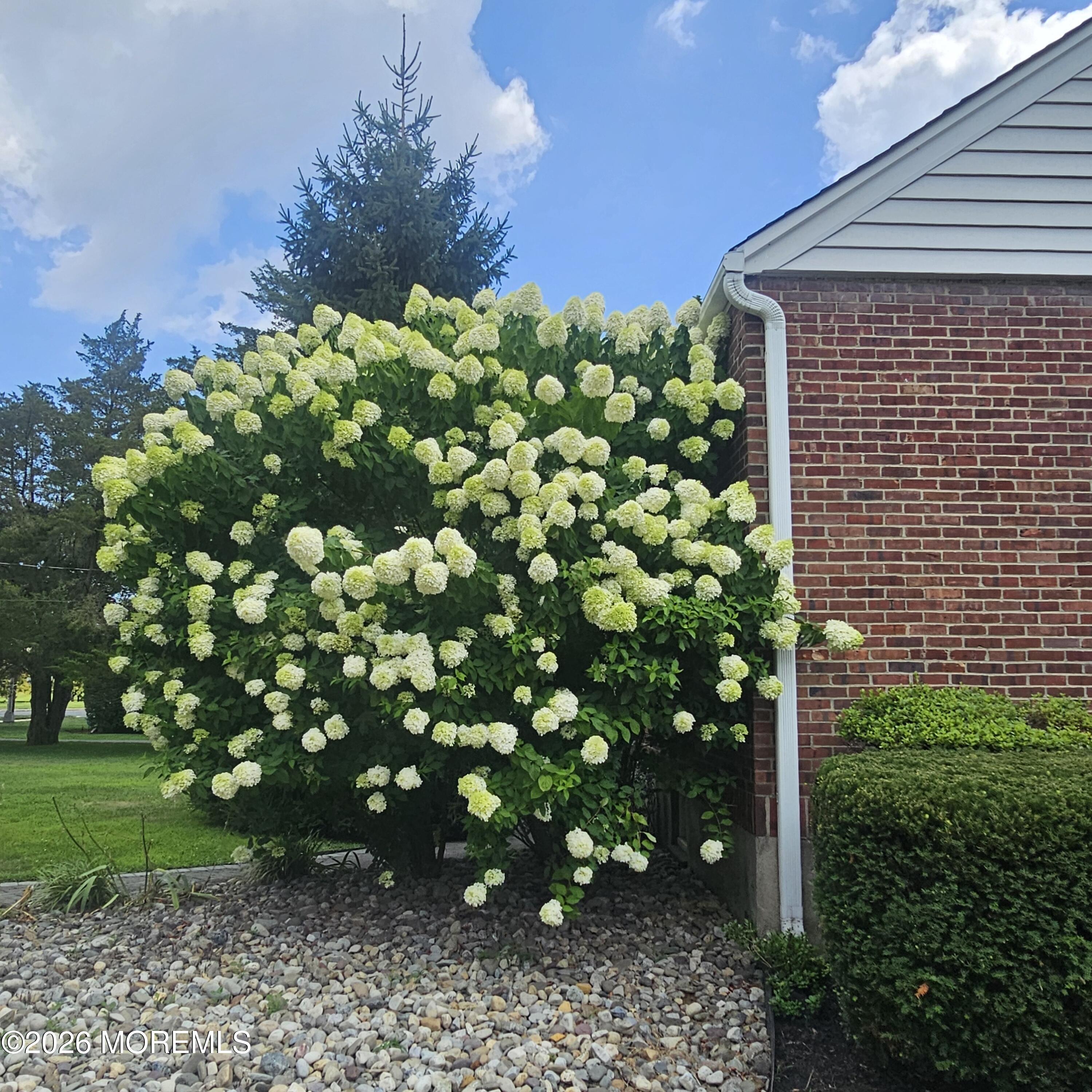443 Newman Springs Road Lincroft NJ 07738