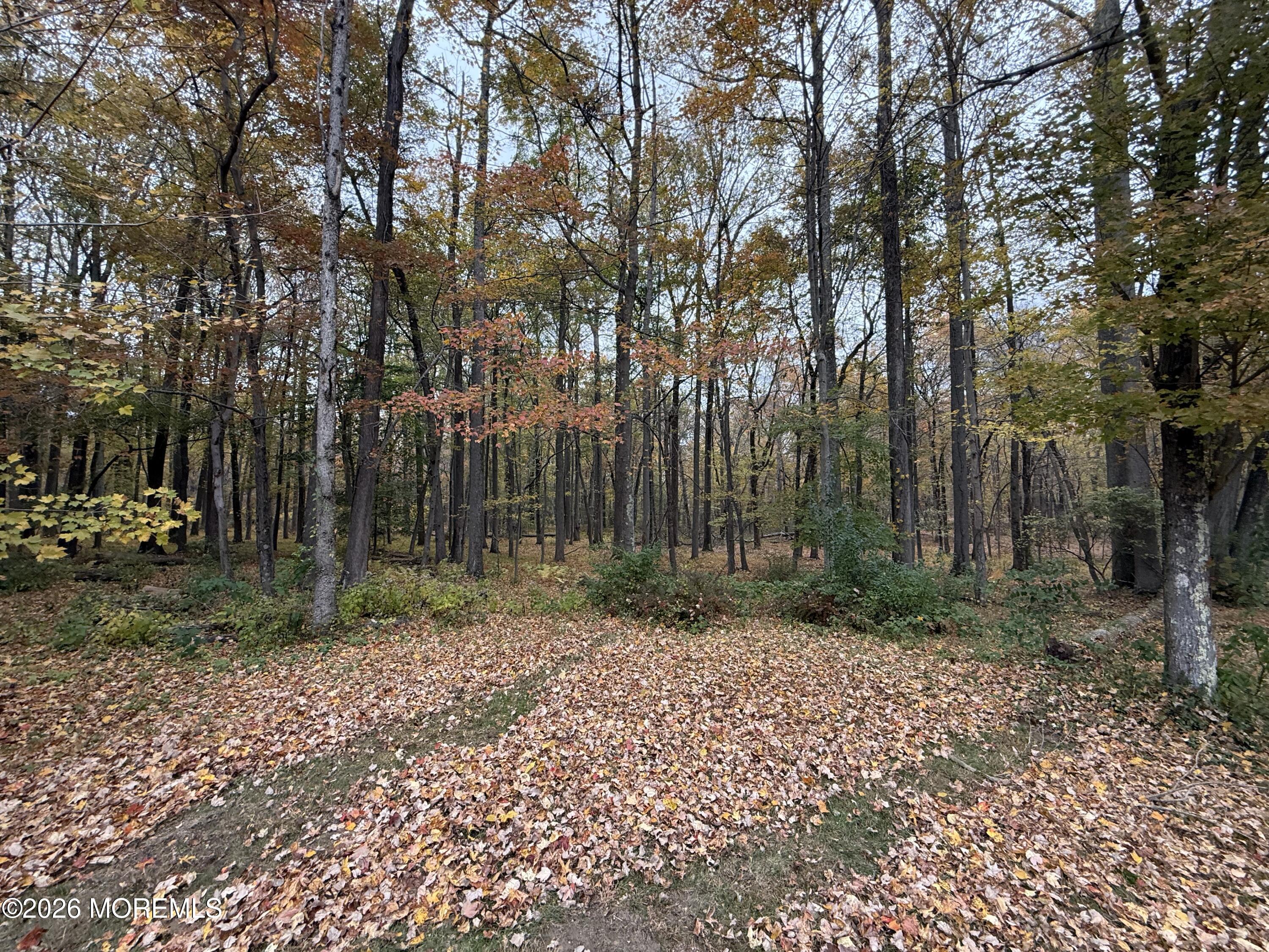 13 Palmer Circle Millstone NJ 08535