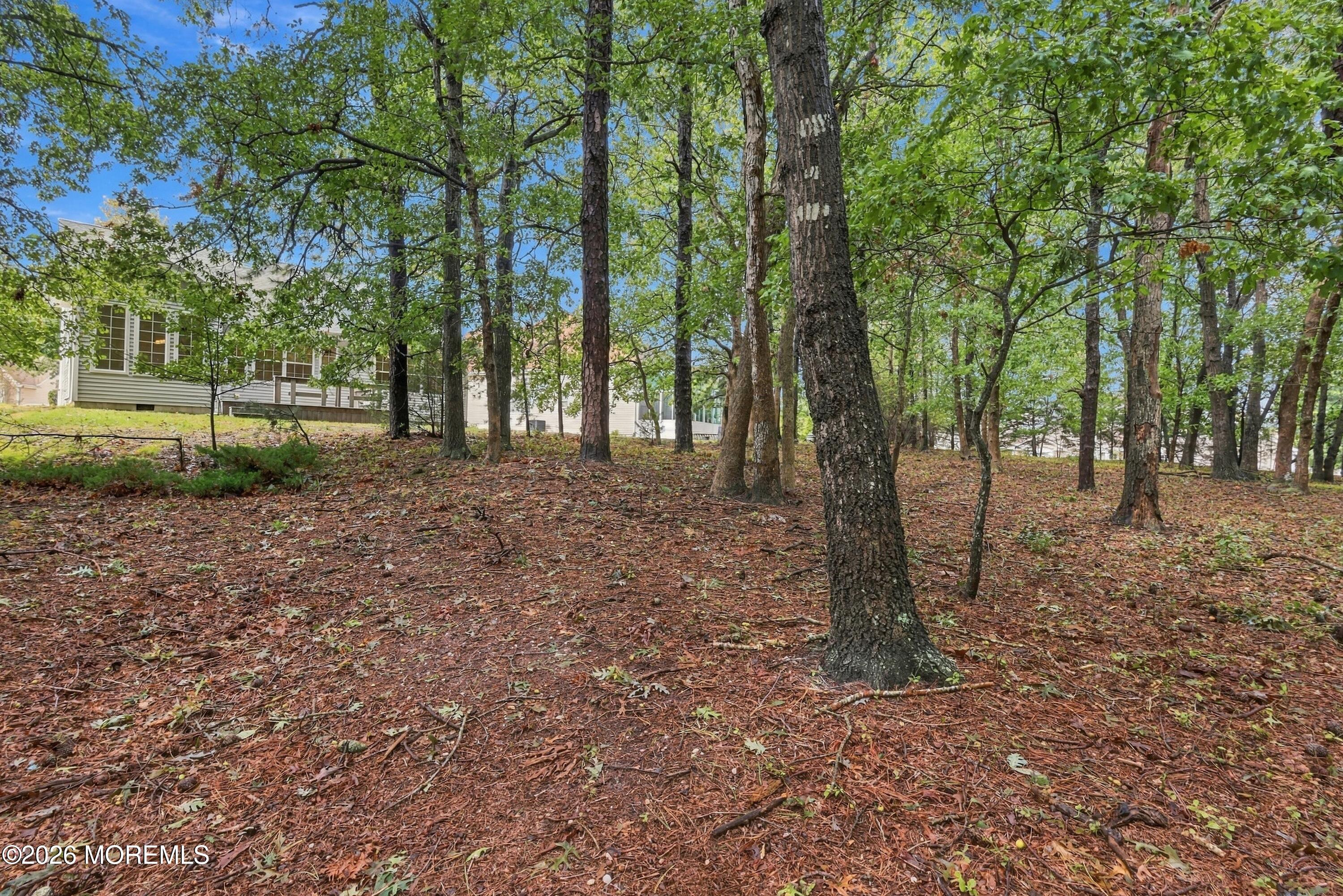 33 Valley Stream Place Barnegat NJ 08005