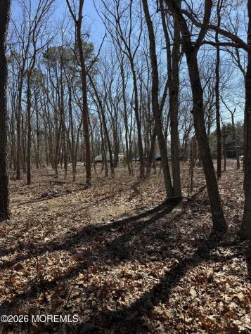117 Driftway Road Howell NJ 07731