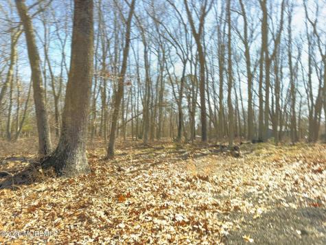 117 Driftway Road Howell NJ 07731