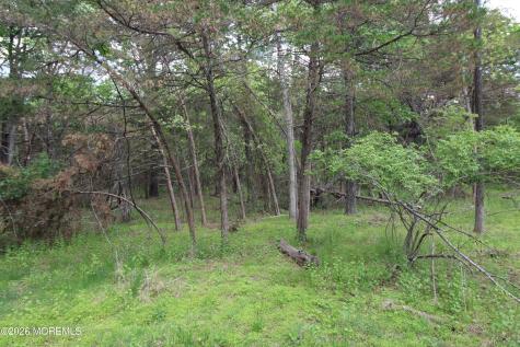 6 Evergreen Drive Jackson NJ 08527