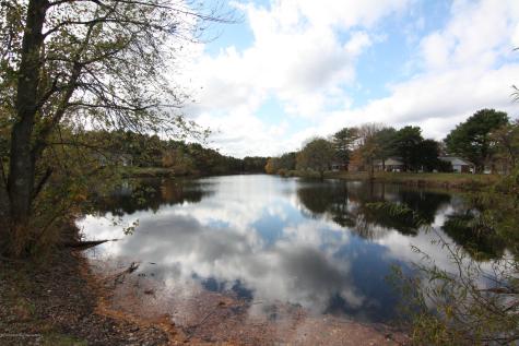463D Portsmouth Drive Lakewood NJ 08701