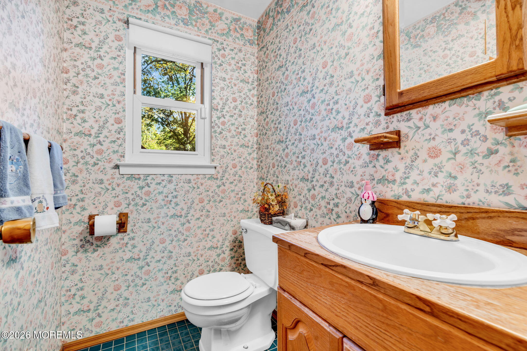 4 Denise Court Somerset NJ 08873