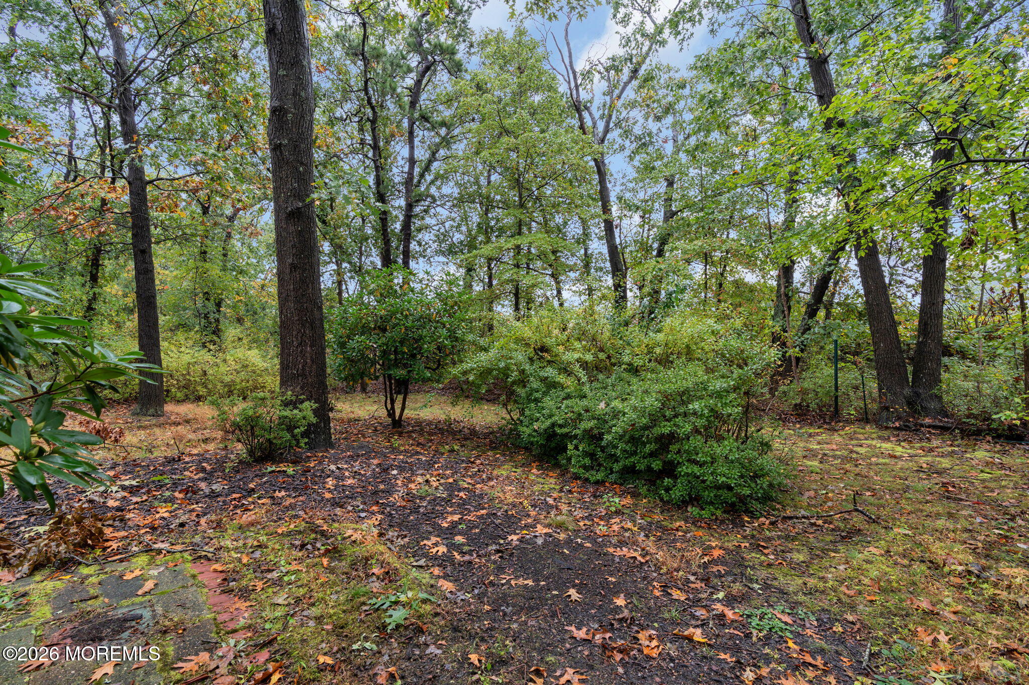 19 Pennsylvania Drive Whiting NJ 08759