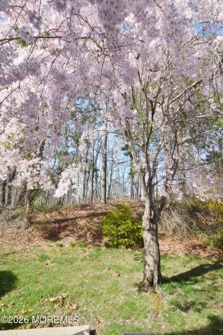 2753 Rockport Lane Toms River NJ 08755