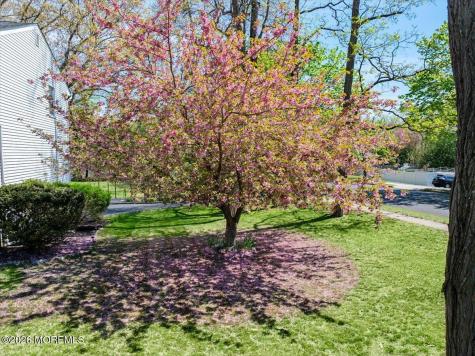 227 Grant Avenue Eatontown NJ 07724