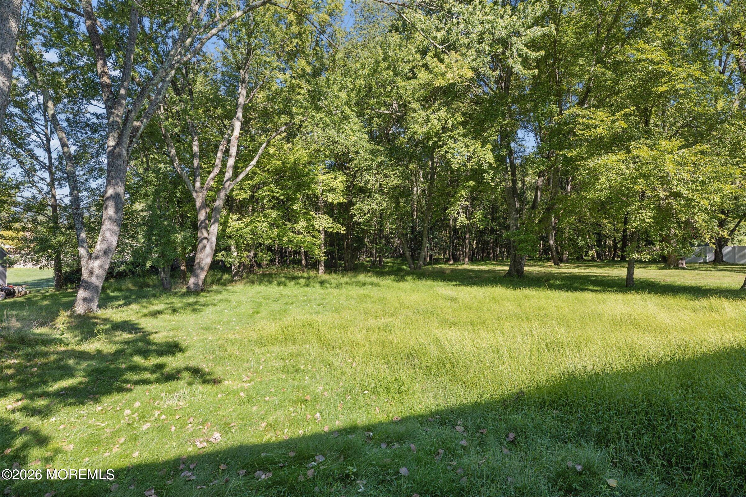 4 Wylie Terrace Morganville NJ 07751
