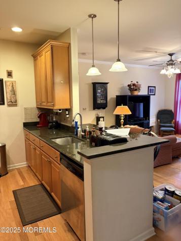 217 Sophee Lane Lakewood NJ 08701