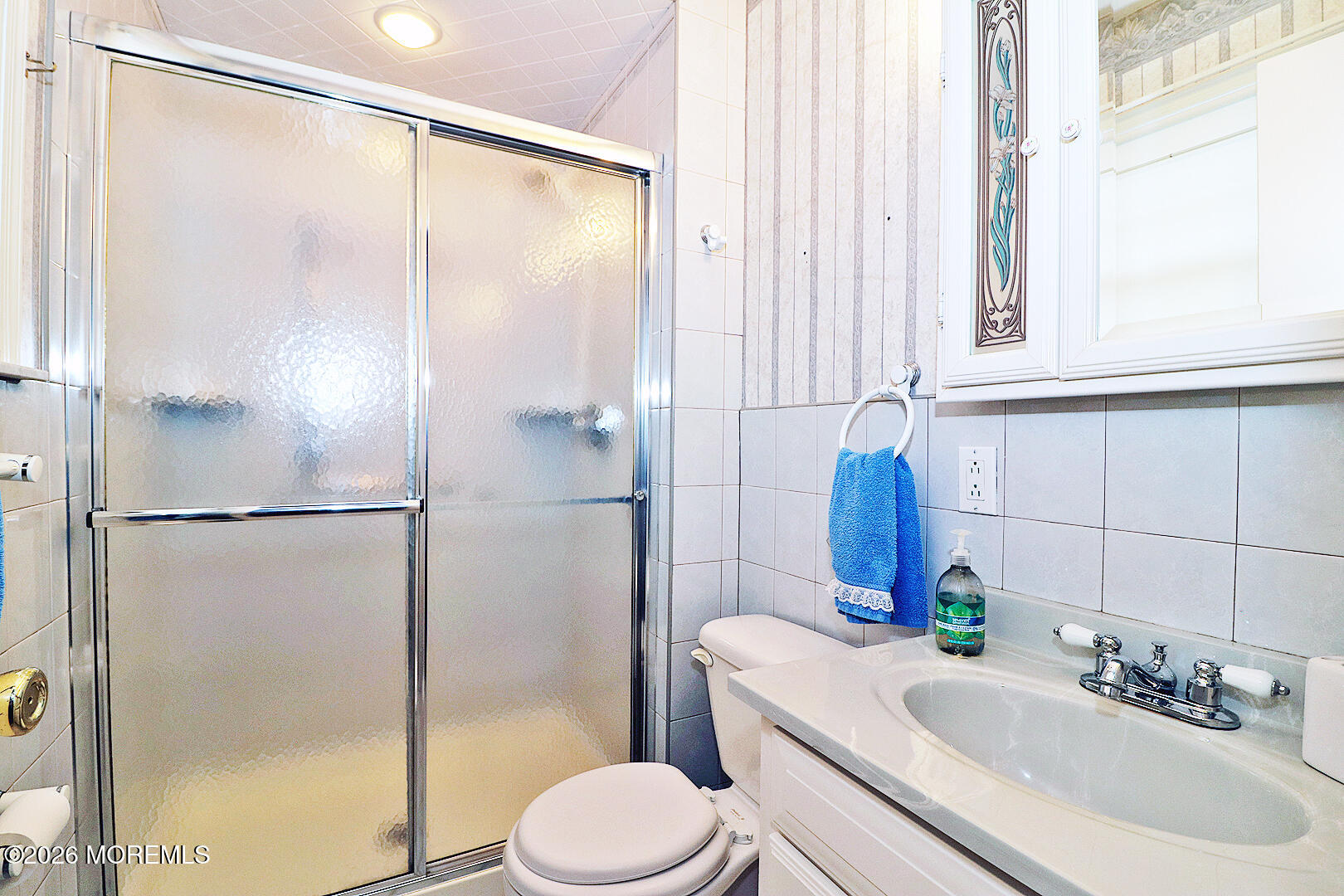 7 Point Blanche Court Toms River NJ 08757