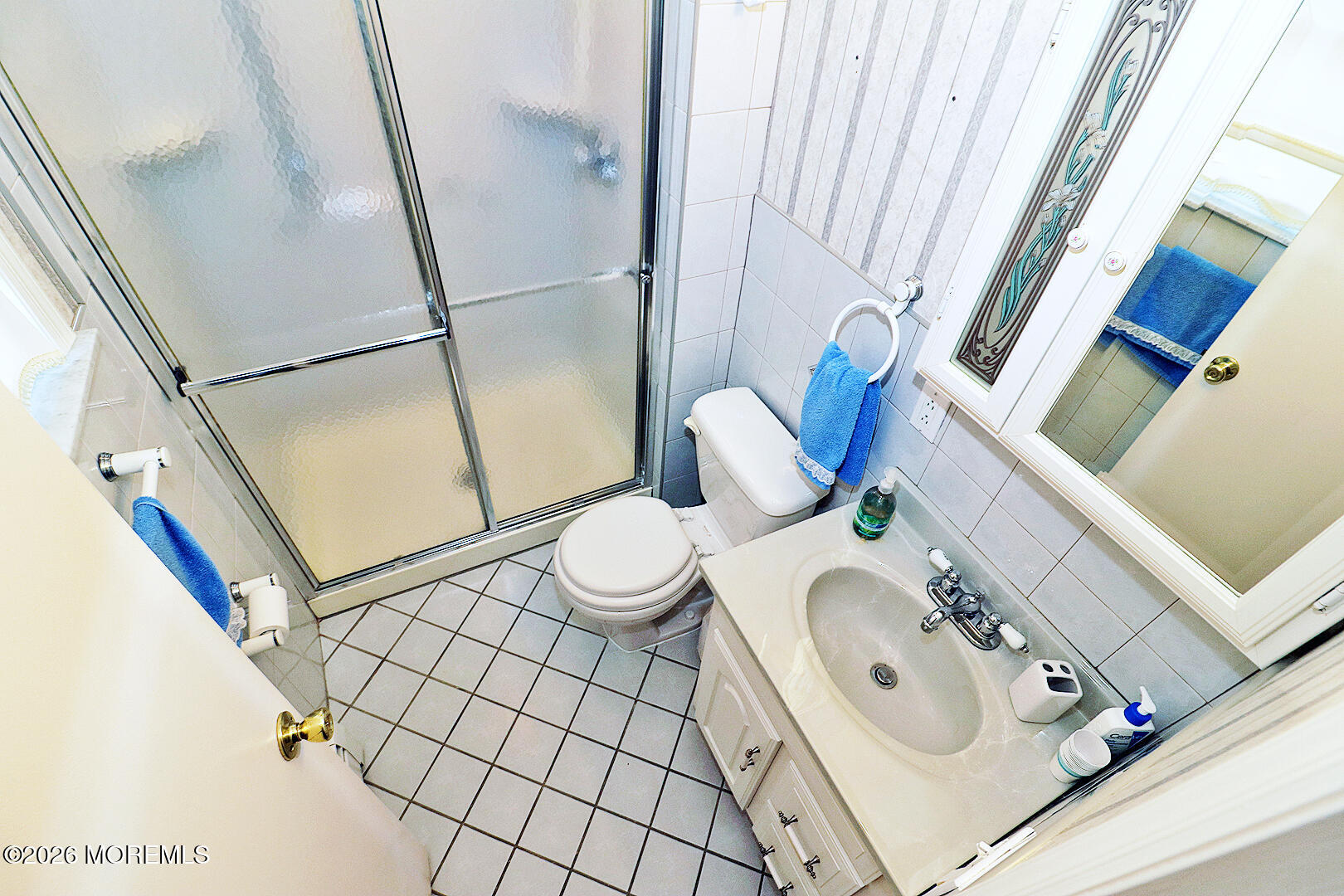 7 Point Blanche Court Toms River NJ 08757