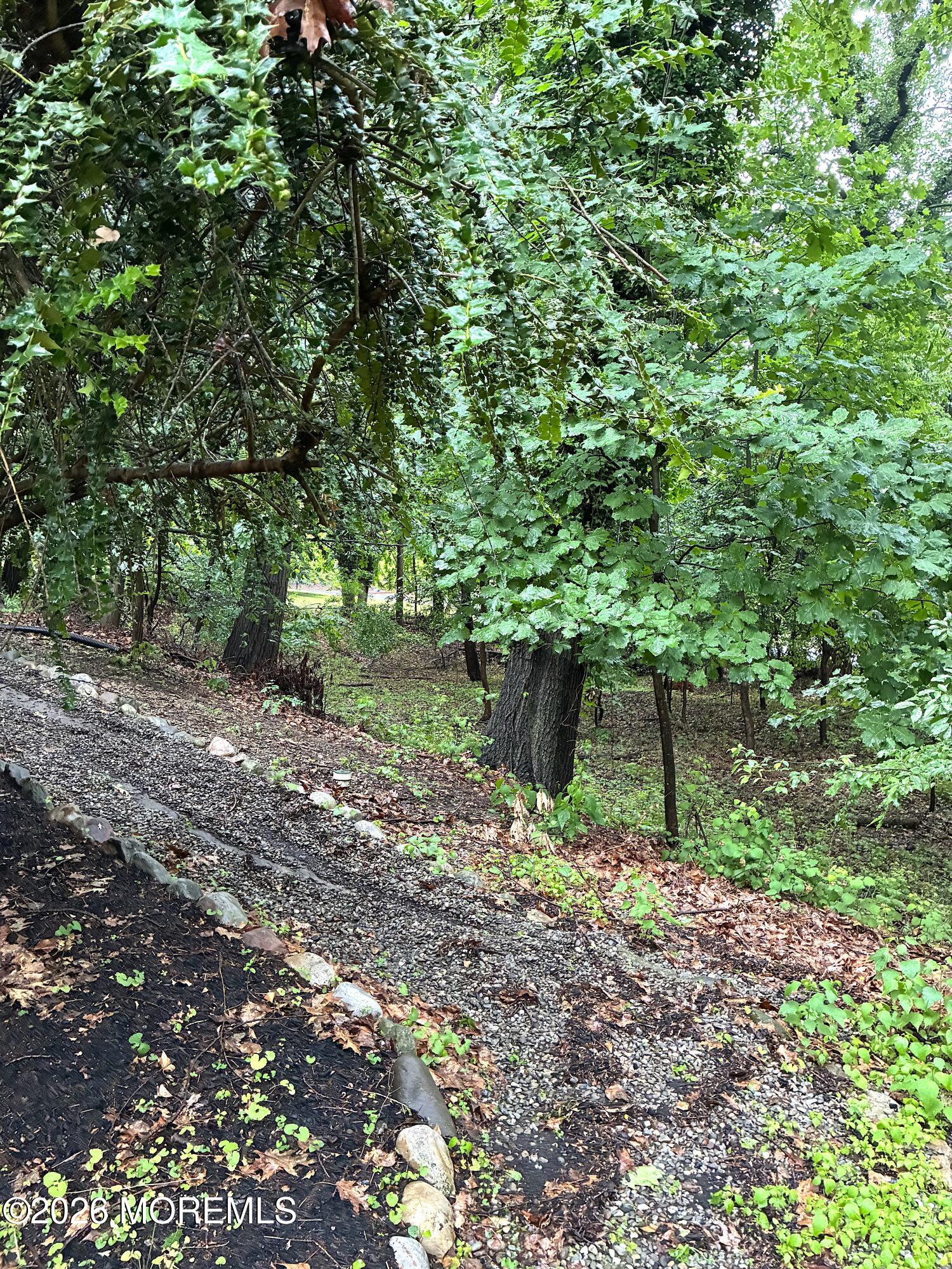 19 Stoney Brook Road Holmdel NJ 07733