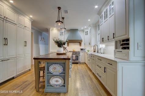 10 Vista Drive Little Silver NJ 07739