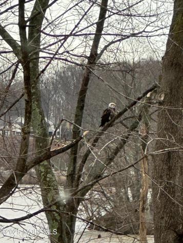 100 Richdale Road Colts Neck NJ 07722