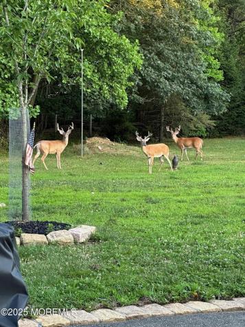 100 Richdale Road Colts Neck NJ 07722