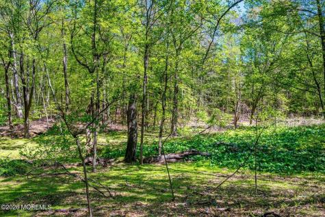 87 Queensbury Court Morganville NJ 07751
