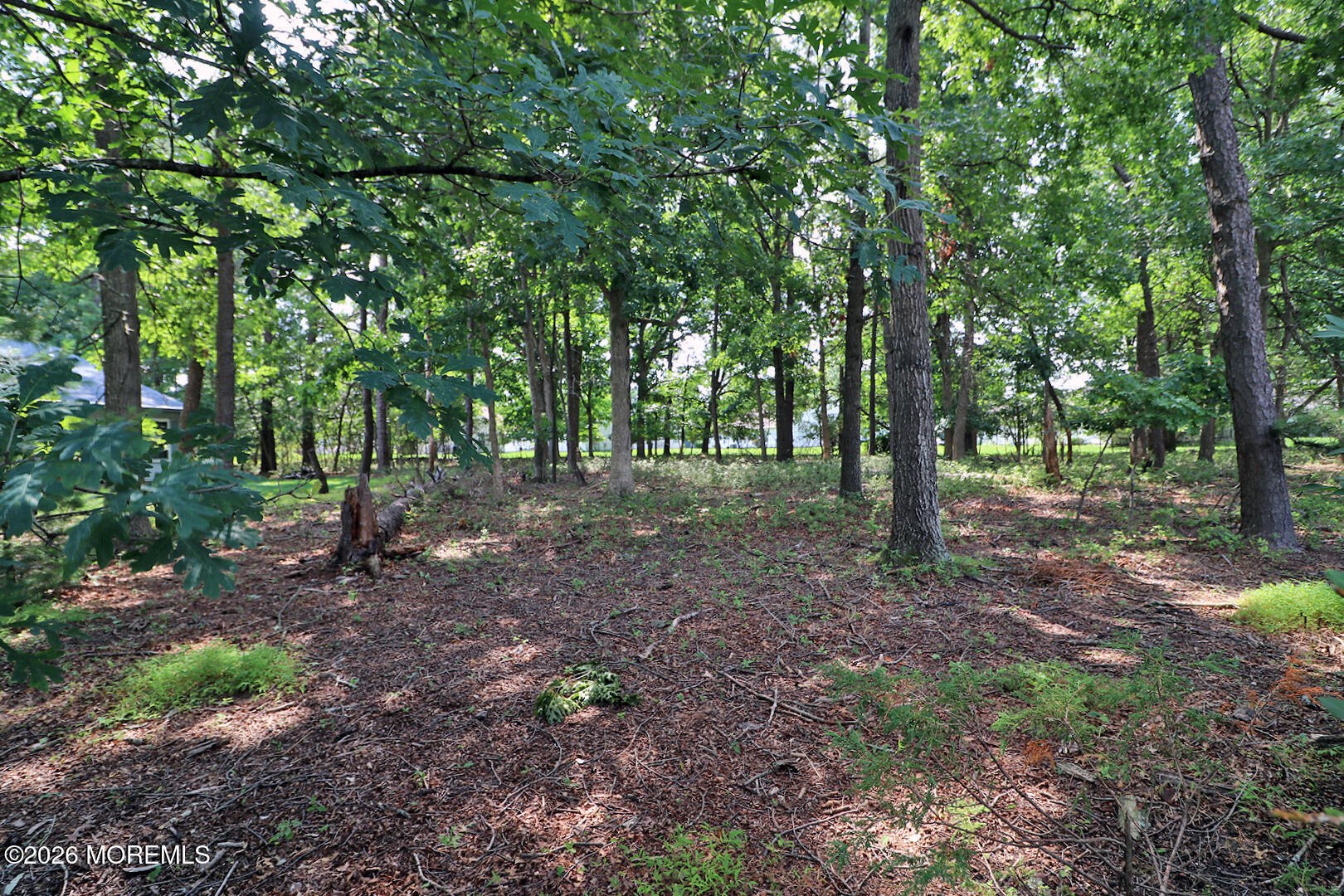 50 Morning Glory Lane Whiting NJ 08759