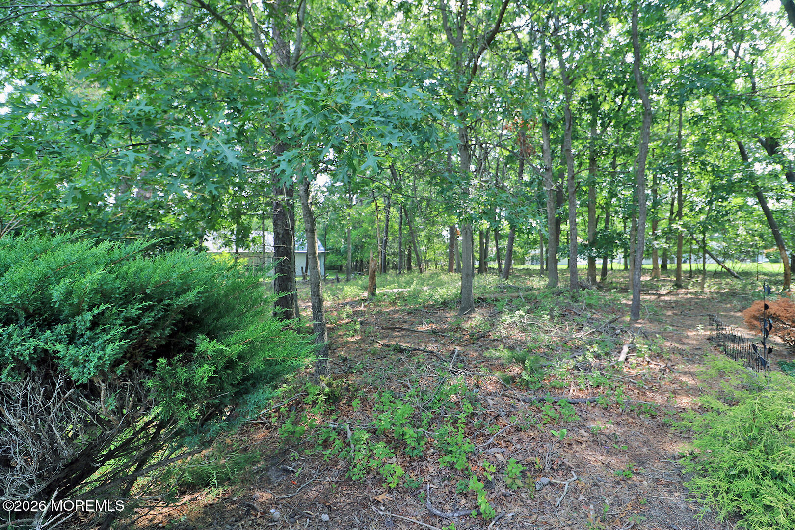 50 Morning Glory Lane Whiting NJ 08759