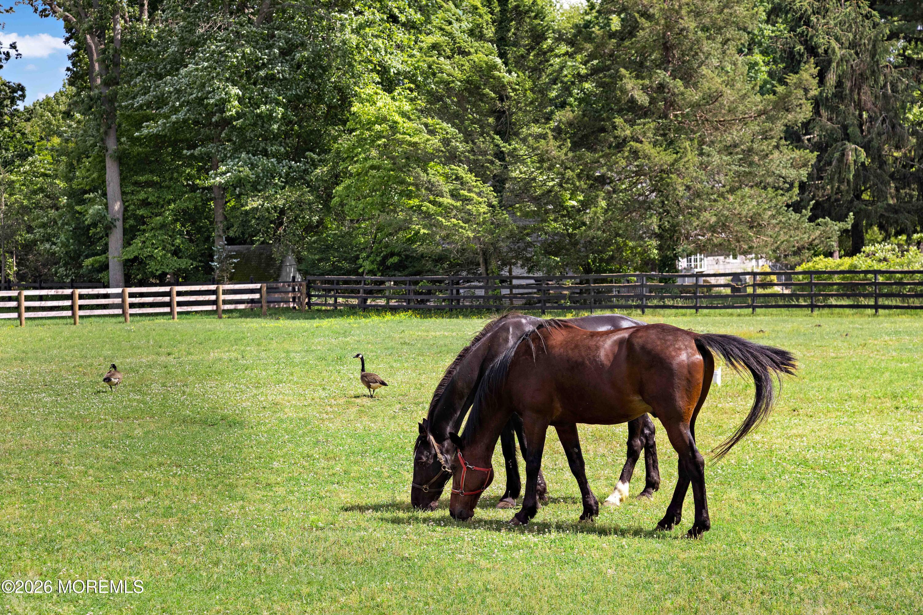 209 Heyers Mill Road Colts Neck NJ 07722