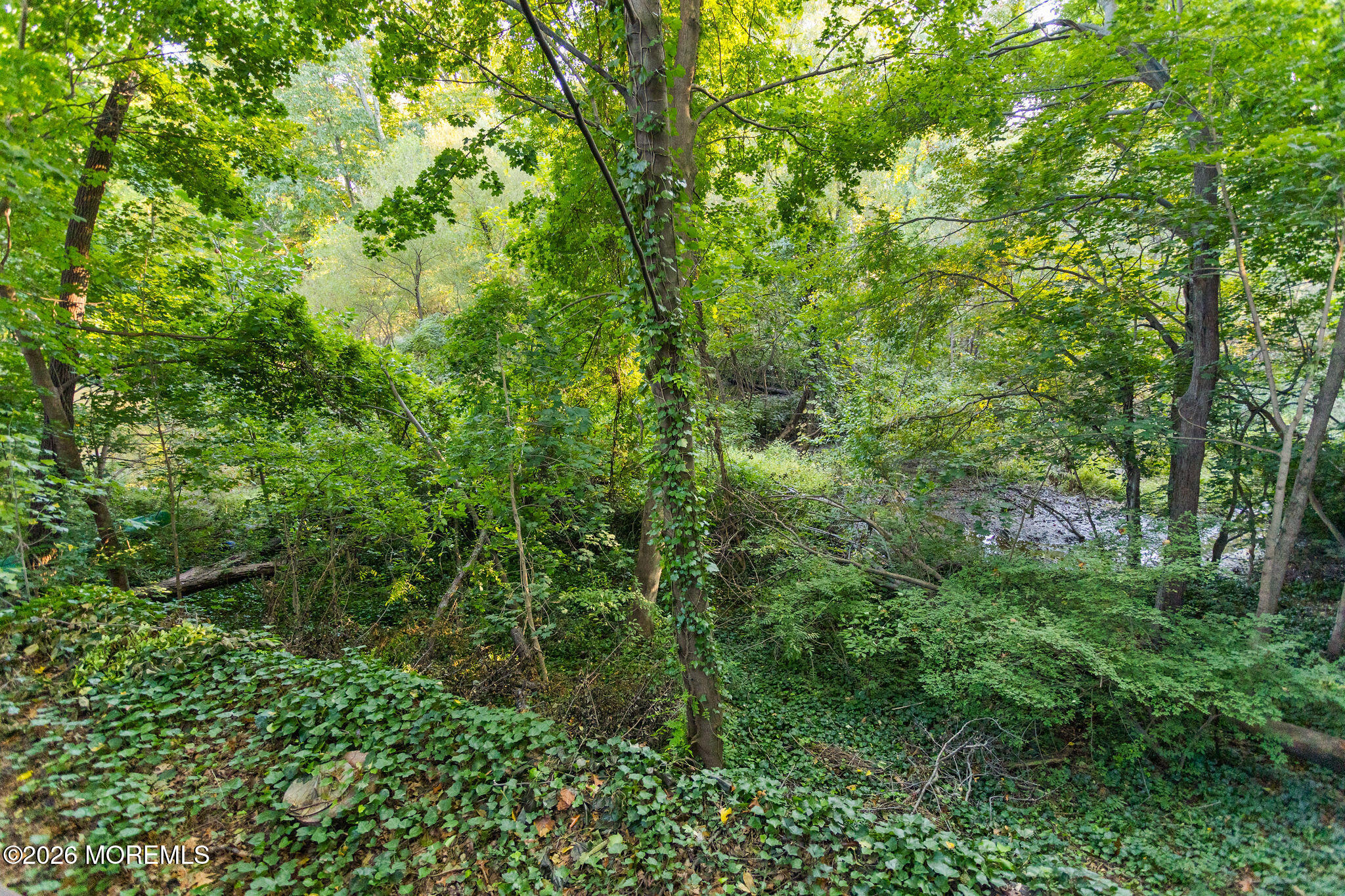 52 Ravine Drive Matawan NJ 07747