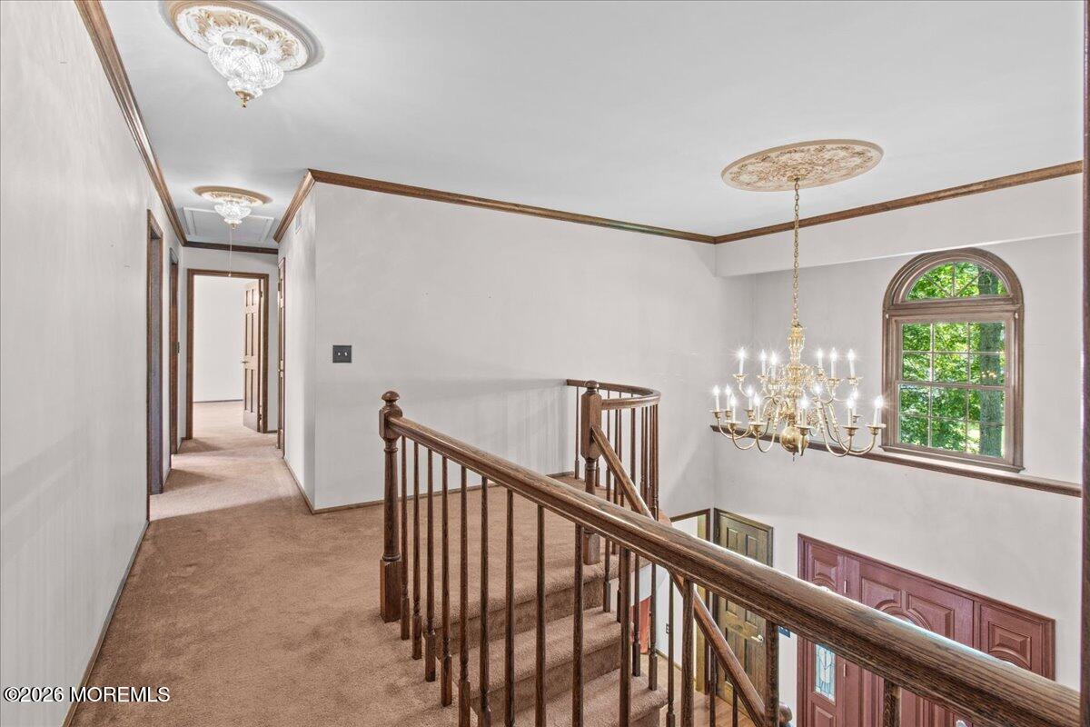 1652 White Water Court Toms River NJ 08755