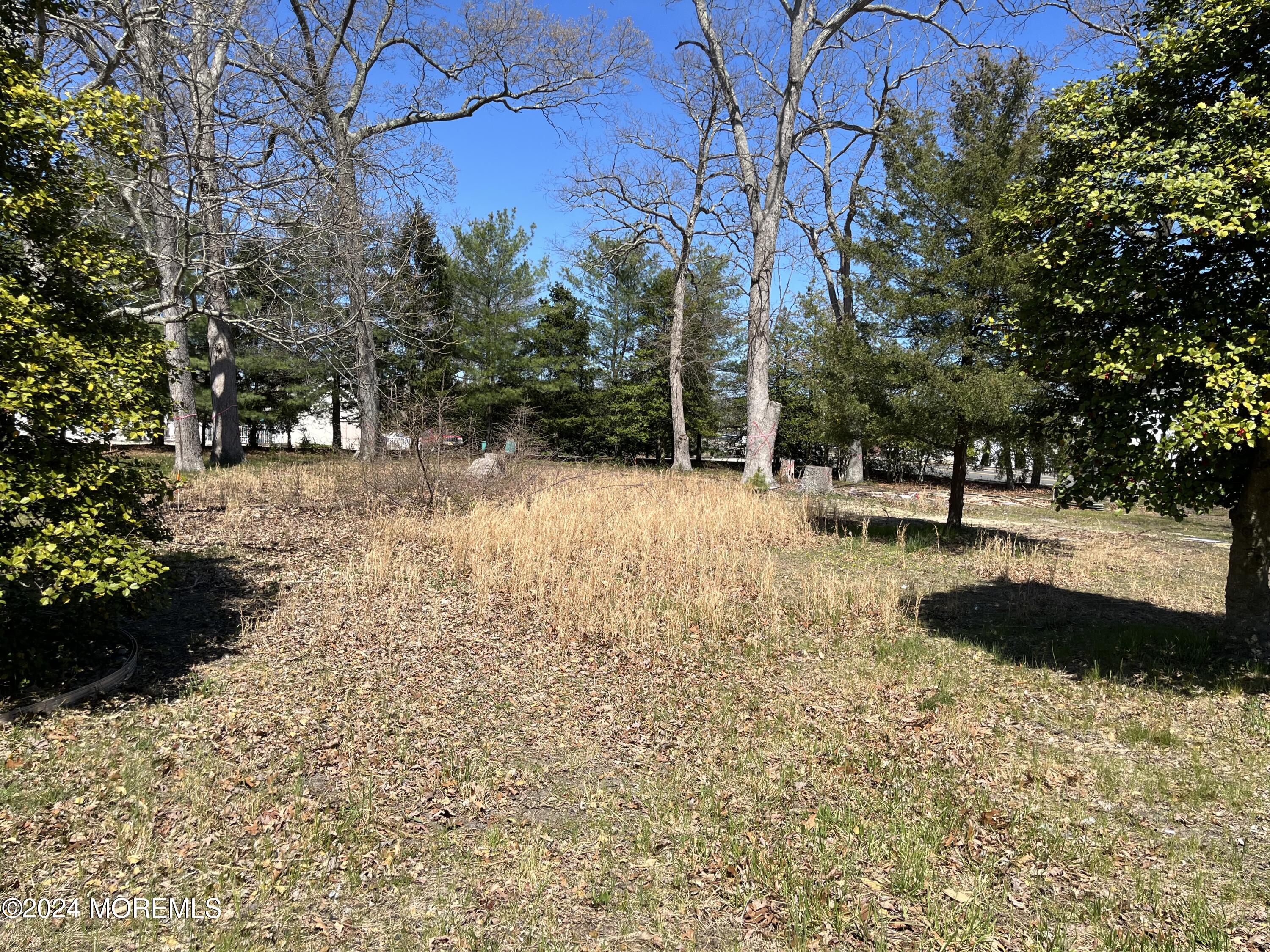 456 Princeton Avenue Brick NJ 08724