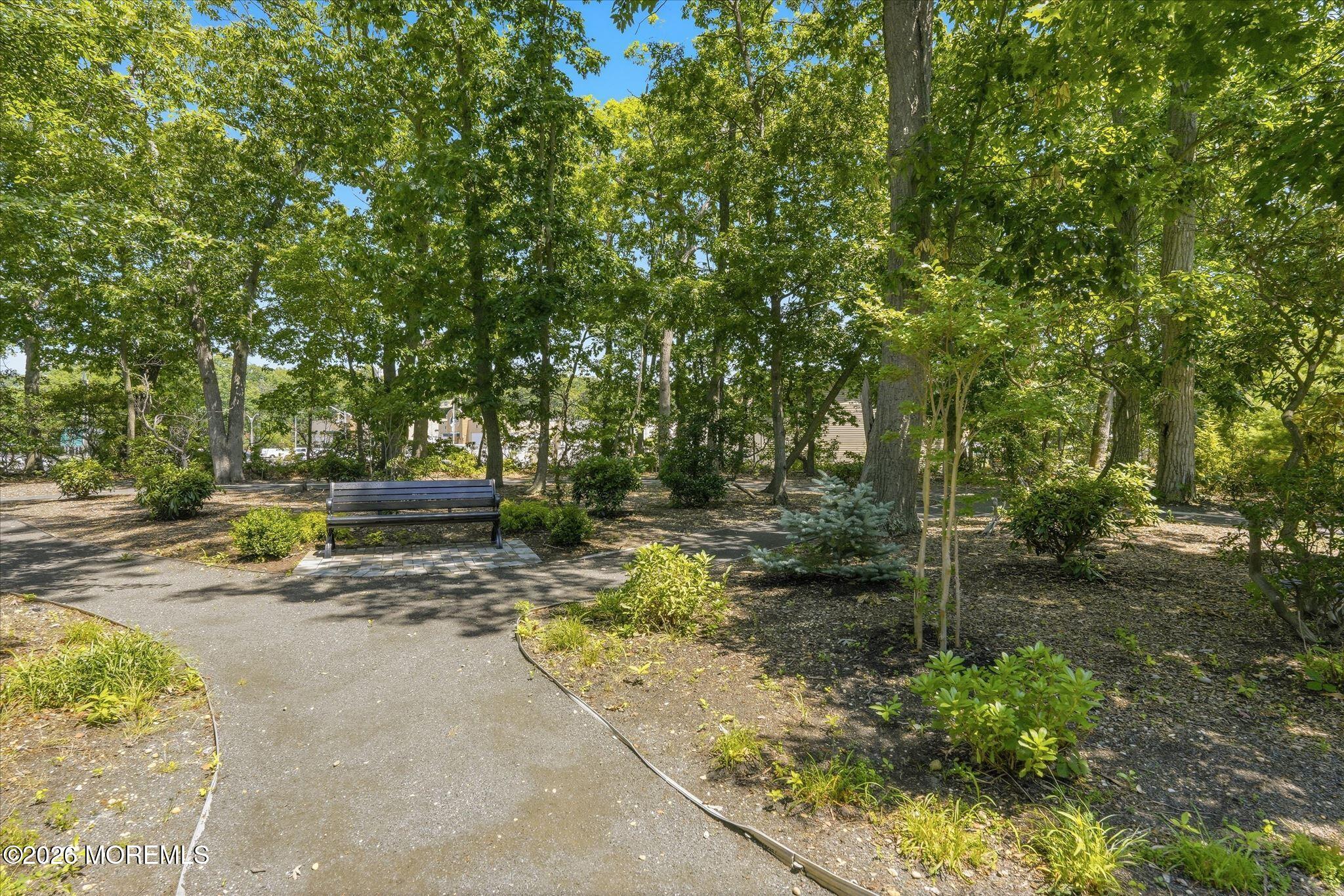 2410 Greentree Drive Manasquan NJ 08736